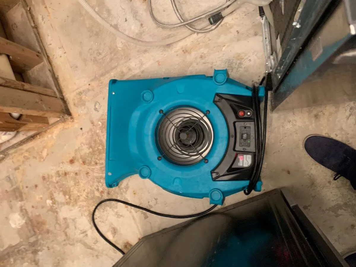 Air mover drying equipment for Mold Remediation & Removal in Golden Hills